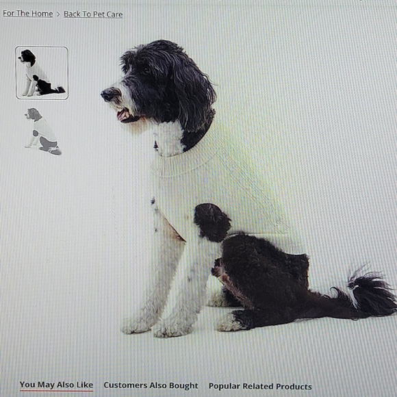 Newsaint Johns Bark Dog Sweater | Poshmark